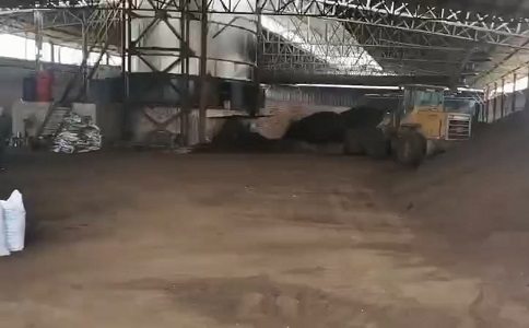 猪粪怎么处理成香蕉视频成人电影 猪粪怎么处理成香蕉视频成人电影